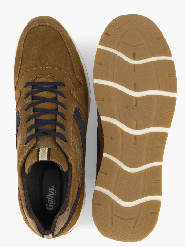 Heren Gallus Bruine Suede Sneaker