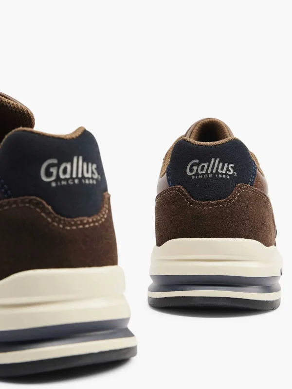 Heren Gallus Bruine Suede Sneaker