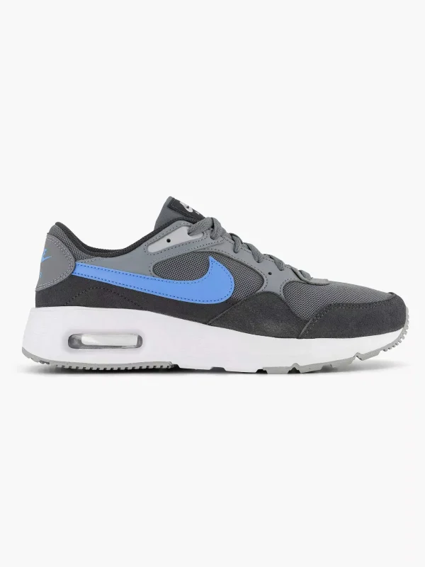 Heren Nike Grijze Air Max