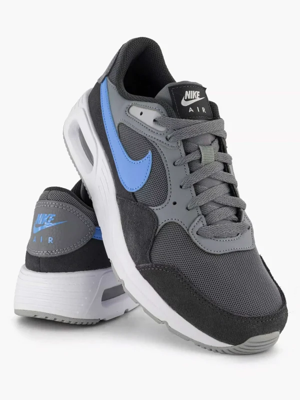 Heren Nike Grijze Air Max