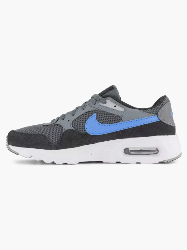 Heren Nike Grijze Air Max