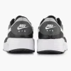 Heren Nike Grijze Air Max Sc