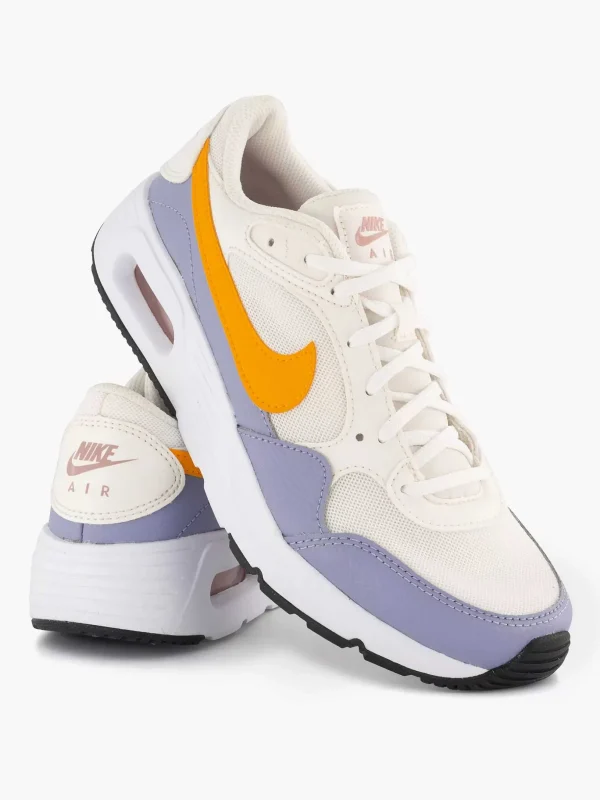 Kinderen Nike Grijze Air Max Sc