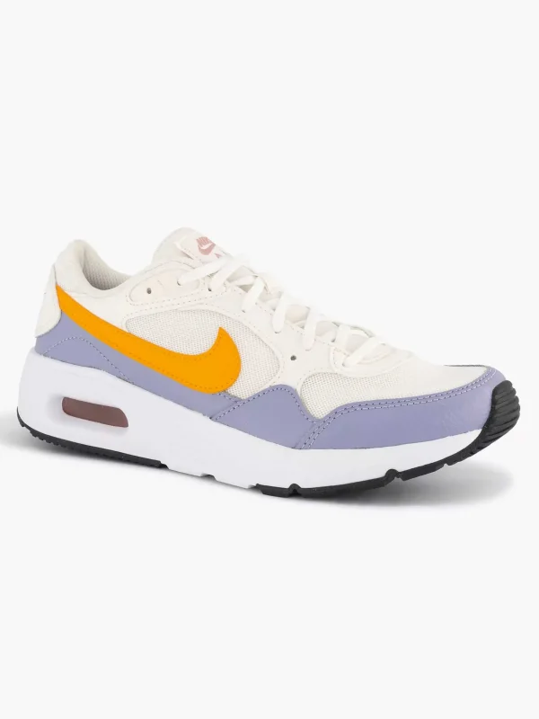 Kinderen Nike Grijze Air Max Sc