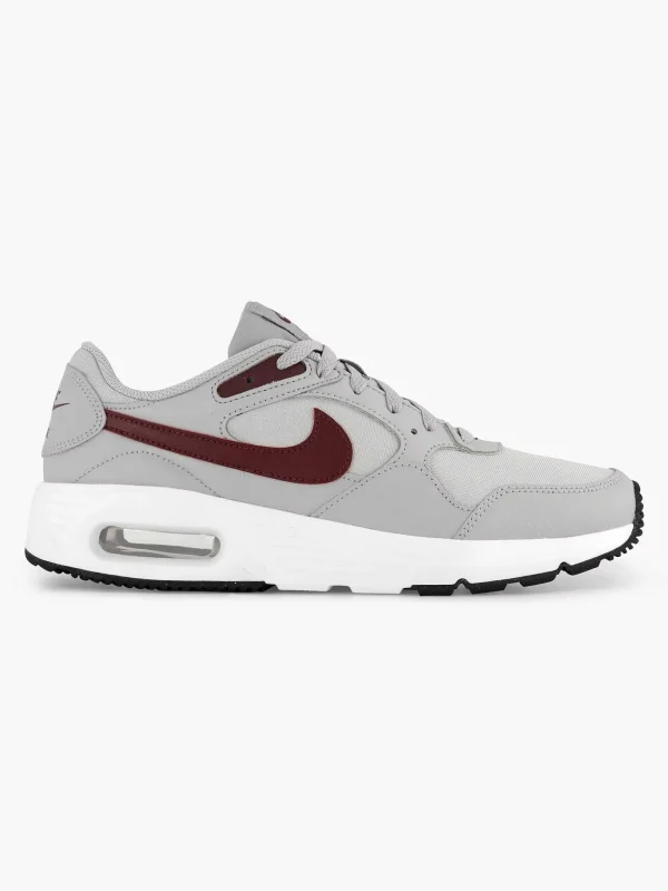 Heren Nike Grijze Air Max Sc