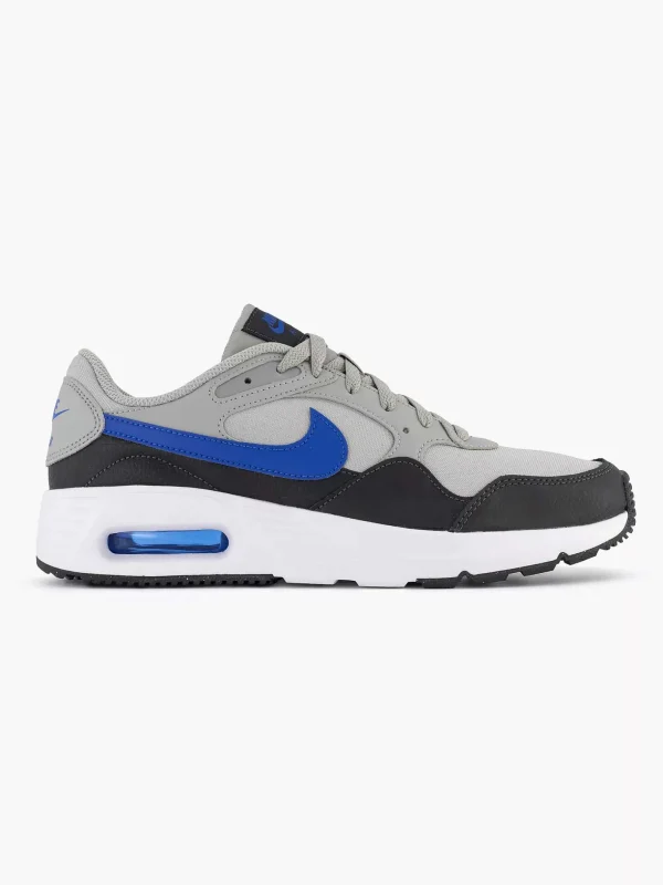 Heren Nike Grijze Air Max Sc