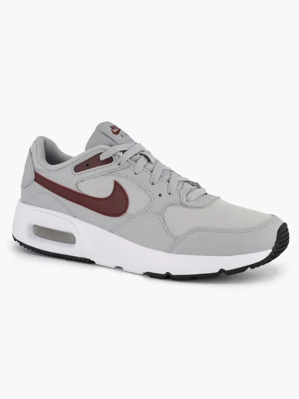 Heren Nike Grijze Air Max Sc