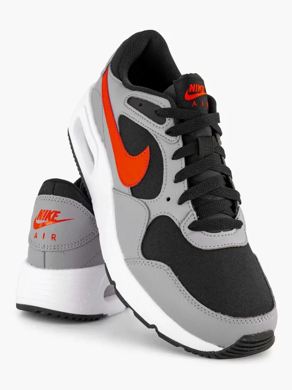 Heren Nike Grijze Air Max Sc