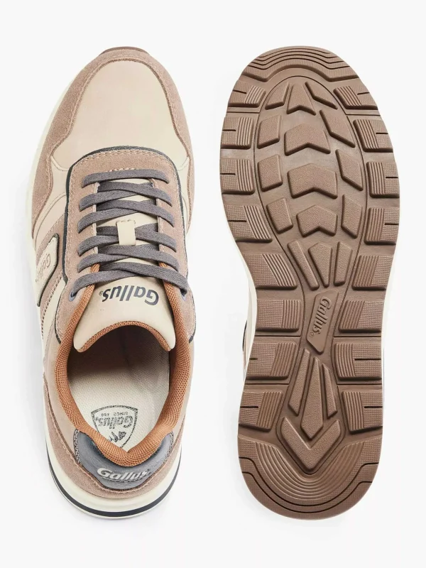 Heren Gallus Taupe Sneaker